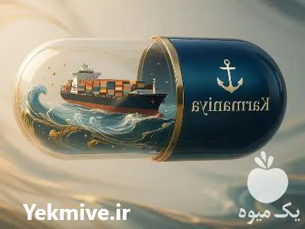 ترانزیت ترکیبی زمینی دریایی با کارمانیا در تهران در گروه ترخیص کالا در یکمیوه -عکس1