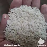 فروش برنج اصیل گیلان در رشت در گروه خرید و فروش برنج در یکمیوه