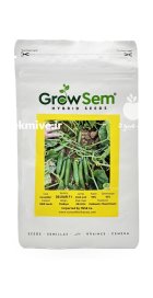 بذر خیار دلوار در ایمانشهر در گروه خرید و فروش بذر خیار در یکمیوه