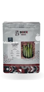 بذر خیار کایو در اسیر در گروه خرید و فروش بذر خیار در یکمیوه