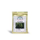 بذر خیار فضای باز هانا در آسمان آباد در گروه خرید و فروش بذر خیار در یکمیوه