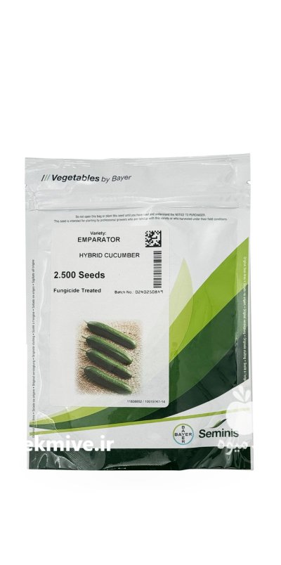 بذر خیار امپراطور در آبسرد در گروه خرید و فروش بذر خیار در یکمیوه -عکس1