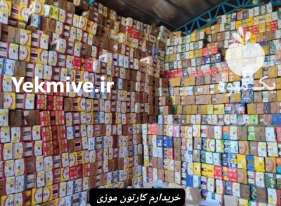 کارتون موزی در کرمان  در گروه خرید و فروش انواع بسته بندی کارتن در یکمیوه -عکس1