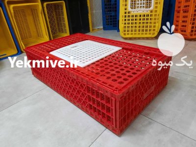 فروش قفس صادراتی قفس حمل مرغ در تهران در گروه تجهیزات مرغداری در یکمیوه -عکس1