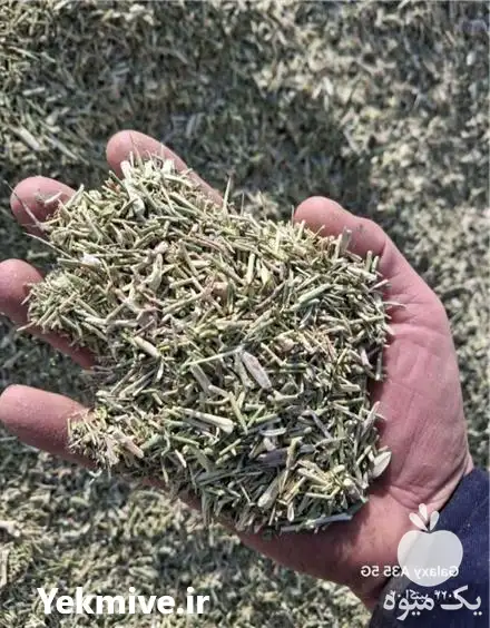 یونجه فروش خارشتر در نیشابور در گروه خوراک دام و طیور در یکمیوه -عکس1