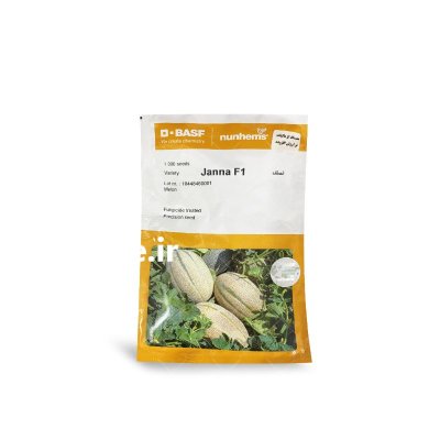 بذر خربزه ملون جانا در اشکنان در گروه خرید و فروش بذر خربزه در یکمیوه -عکس1