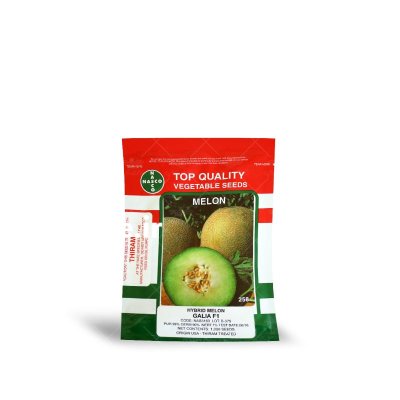 بذر خربزه گالیا تو سبز در زهان در گروه خرید و فروش بذر خربزه در یکمیوه -عکس1