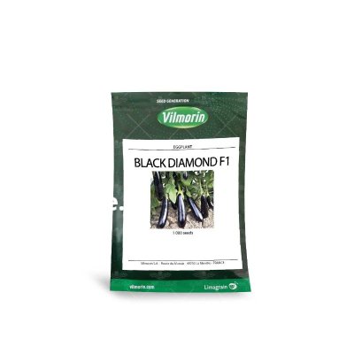 بذر بادمجان بلک دیاموند در آبدان در گروه خرید و فروش بذر بادمجان در یکمیوه -عکس1