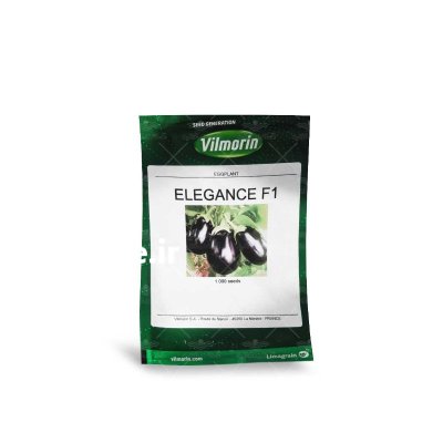 بذر بادمجان دلمه ای الگانس در اهواز در گروه خرید و فروش بذر بادمجان در یکمیوه -عکس1