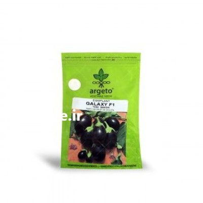 بذر بادمجان هیبرید دلمه ای گلکسی در برازجان در گروه خرید و فروش بذر بادمجان در یکمیوه -عکس1