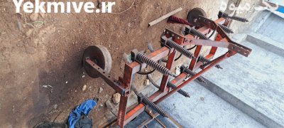 پنجه غازی المانی در لومار در گروه خرید و فروش پنجه غازی در یکمیوه -عکس1