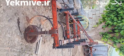 پنجه غازی المانی در لومار در گروه خرید و فروش پنجه غازی در یکمیوه -عکس2