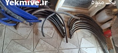 پنجه غازی المانی در لومار در گروه خرید و فروش پنجه غازی در یکمیوه -عکس3