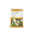 بذر خربزه ملون جانا در اشکنان در گروه خرید و فروش بذر خربزه در یکمیوه