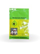 بذر ملون آناناسی یامی در سبزوار در گروه خرید و فروش بذر خربزه در یکمیوه