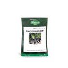 بذر بادمجان بلک دیاموند در آبدان در گروه خرید و فروش بذر بادمجان در یکمیوه