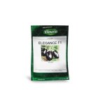 بذر بادمجان دلمه ای الگانس در اهواز در گروه خرید و فروش بذر بادمجان در یکمیوه