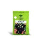 بذر بادمجان هیبرید دلمه ای گلکسی در برازجان در گروه خرید و فروش بذر بادمجان در یکمیوه