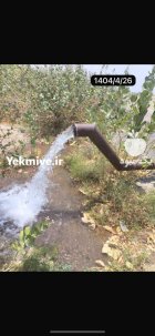 صد هکتار زمین کشاورزی با چهار در رودبار در گروه سرمایه گذار در تولید محصولات کشاورزی در یکمیوه