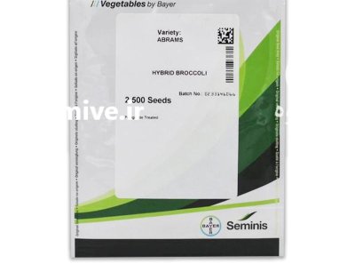 بذر کلم بروکلی آبرامز در آبدان در گروه خرید و فروش بذر صیفی جات در یکمیوه -عکس1