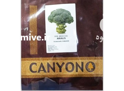 بذر کلم بروکلی آریالیس در برازجان در گروه خرید و فروش بذر صیفی جات در یکمیوه -عکس1