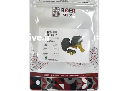 بذر کلم بروکلی بلوم بوئر در آمل در گروه خرید و فروش بذر صیفی جات در یکمیوه -عکس1