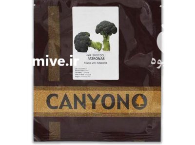 بذر کلم بروکلی پاتروناس در بابل  در گروه خرید و فروش بذر صیفی جات در یکمیوه -عکس1