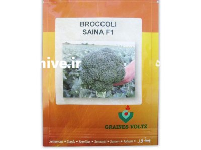 بذر کلم بروکلی ساینا در آبدان در گروه خرید و فروش بذر صیفی جات در یکمیوه -عکس1