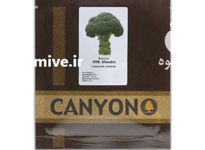 بذر کلم بروکلی ماسترو در انارستان در گروه خرید و فروش بذر صیفی جات در یکمیوه -عکس1