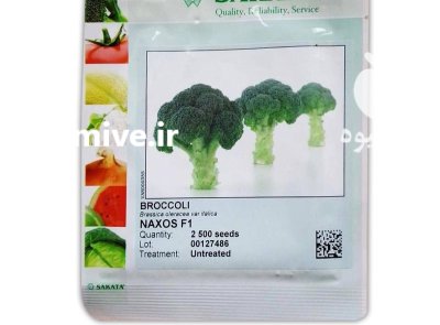 بذر کلم بروکلی ناکسوس در آبسرد در گروه خرید و فروش بذر صیفی جات در یکمیوه -عکس1