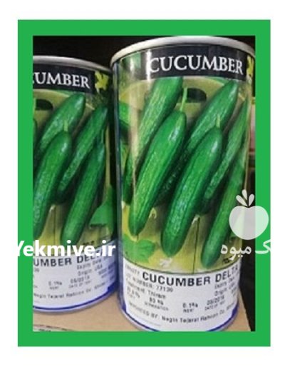 بذر خیار دلتا در بیرجند در گروه خرید و فروش بذر خیار در یکمیوه -عکس1