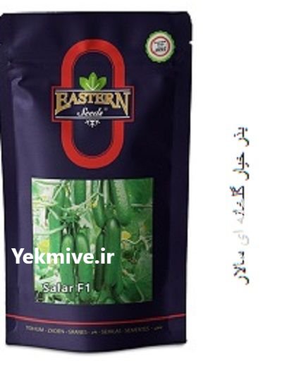 بذر خیار گلخانه ای سالار در درق در گروه خرید و فروش بذر خیار در یکمیوه -عکس1