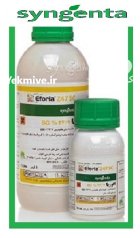 مزایای حشره کش افوریا در آبعلی در گروه خرید و فروش انواع سم در یکمیوه