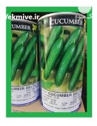 بذر خیار دلتا در بیرجند در گروه خرید و فروش بذر خیار در یکمیوه