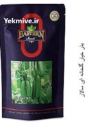 بذر خیار گلخانه ای سالار در درق در گروه خرید و فروش بذر خیار در یکمیوه