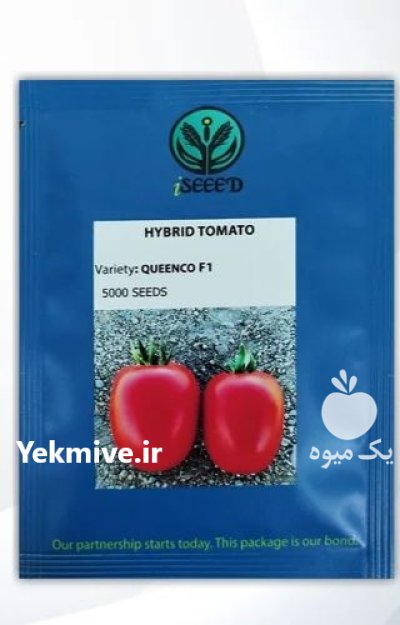 بذر گوجه کوینکو در آبدان در گروه خرید و فروش بذر گوجه در یکمیوه -عکس1