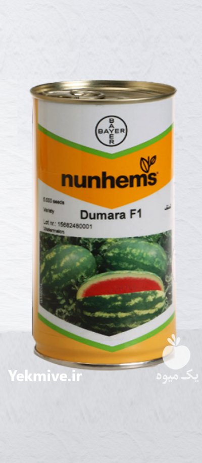 بذر هندوانه دومارا در بیرجند در گروه خرید و فروش بذر هندوانه در یکمیوه -عکس1