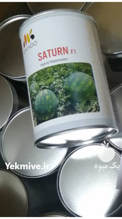 بذر هندکانه میکادو ساترن در جیرفت در گروه خرید و فروش هندوانه در یکمیوه -عکس1