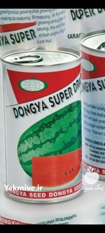بذر هندوانه سوپر دراگون در بادرود در گروه خرید و فروش بذر هندوانه در یکمیوه -عکس1