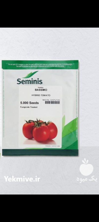 بذر گوجه باسیمو در باغ بهادران در گروه خرید و فروش بذر گوجه در یکمیوه -عکس1