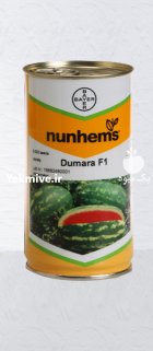 بذر هندوانه دومارا در بیرجند در گروه خرید و فروش بذر هندوانه در یکمیوه