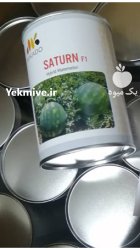 بذر هندکانه میکادو ساترن در جیرفت در گروه خرید و فروش هندوانه در یکمیوه