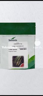 بذر هندوانه بی 32 در آران و بیدگل در گروه خرید و فروش بذر هندوانه در یکمیوه