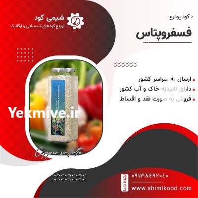 کود فسفروپتاس پودری 500 گرمی در اصفهان در گروه خرید و فروش کود شیمیایی در یکمیوه -عکس1