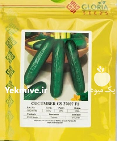 بذر خیار گلوریا 007 در بردسکن در گروه خرید و فروش بذر خیار در یکمیوه -عکس1