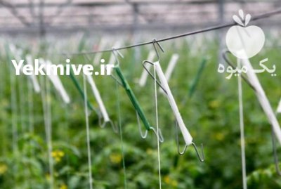 قلاب آویز بوته خیار در تهران در گروه خرید و فروش تجهیزات گلخانه در یکمیوه -عکس1