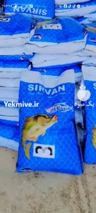 اکسترود کپور سیروان در ایلام در گروه خرید و فروش ماهی کپور در یکمیوه