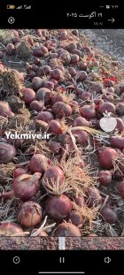 پیاز قرمز در هرسین در گروه خرید و فروش پیاز در یکمیوه