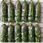 خیار شور در همدان در گروه محصولات ترشی در یکمیوه