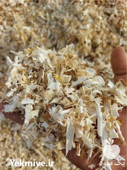 فروش پوشال مرغداری در مشهد در گروه تجهیزات مرغداری در یکمیوه -عکس1